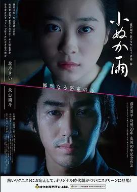 小妇人2019版海报